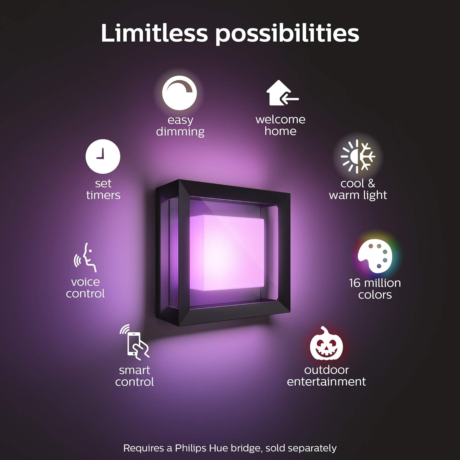 Philips Hue Econic Square Outdoor Smart Wall Light, Black - White and Color Ambiance LED Color-Changing Light - 1 Pack - Requires Hue Bridge - Control with Hue App and Voice - Weatherproof