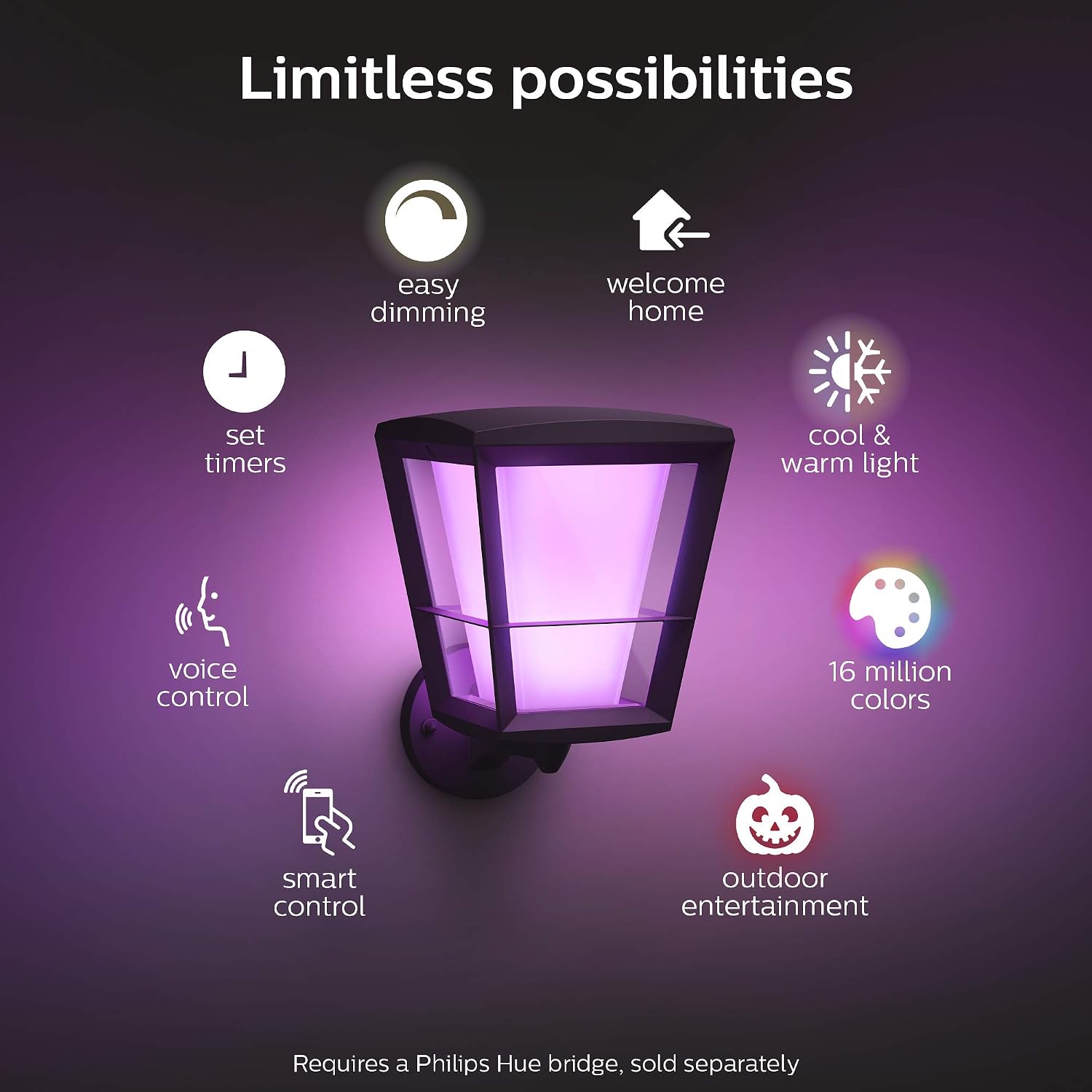 Philips Hue Econic Outdoor Wall Light White and Color Ambiance