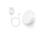 Philips Hue Go Portable Accent Light