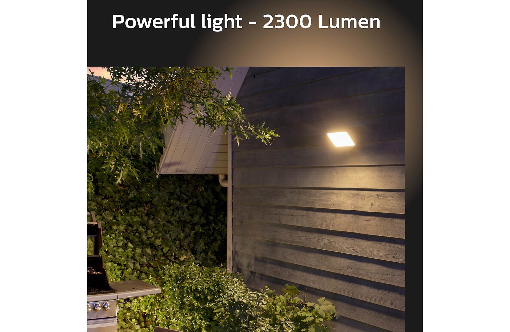 Philips Hue Welcome Outdoor Floodlight